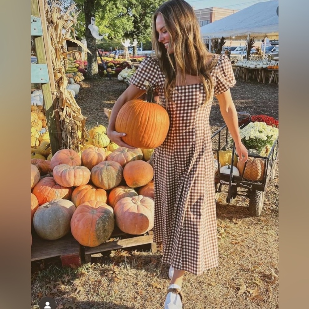 Show Me Your MuMu Brown and Cream Gingham Puff-Sleeve Midi Dress
